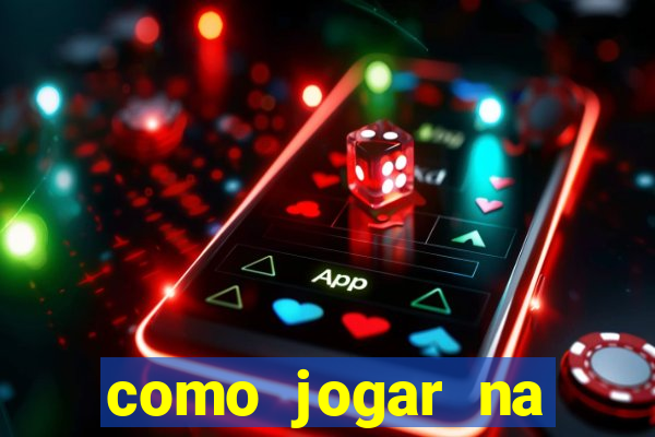 como jogar na lotinha do jogo do bicho